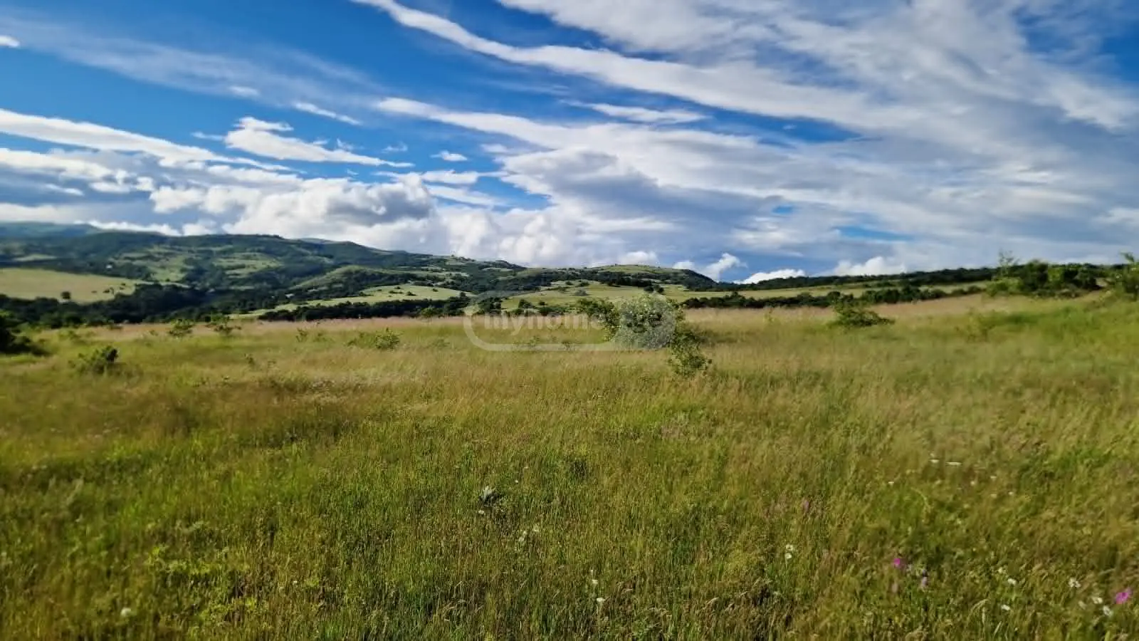 Продажа Земля / участок в Tetritsqaros Raionshi view 1