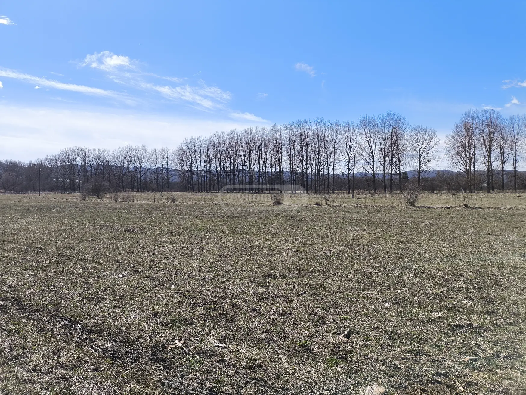 For Sale Ara Sasoplo-Sameurneo Land Plot Tianetis Munitsipalitetshi view 7