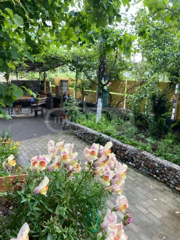 For Sale 10+ Room Sastumro Ozurgetis Munitsipalitetshi view 6