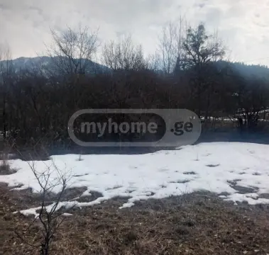 იყიდება მიწა / ნაკვეთი Borjomis Munitsipalitetshiში view 7
