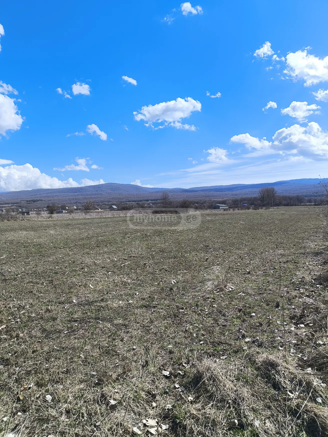 For Sale Ara Sasoplo-Sameurneo Land Plot Tianetis Munitsipalitetshi view 13