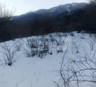 იყიდება მიწა / ნაკვეთი Borjomis Munitsipalitetshiში view 2