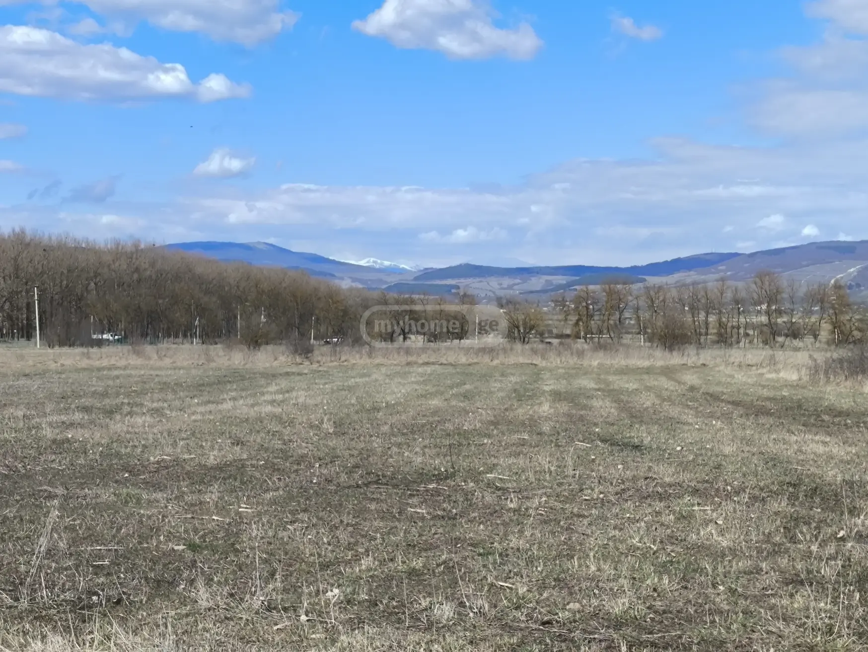 For Sale Ara Sasoplo-Sameurneo Land Plot Tianetis Munitsipalitetshi view 2