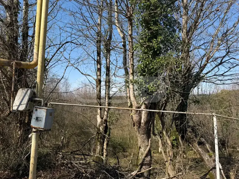 For Sale Sasoplo-Sameurneo Land Plot Tsqaltuboshi view 2