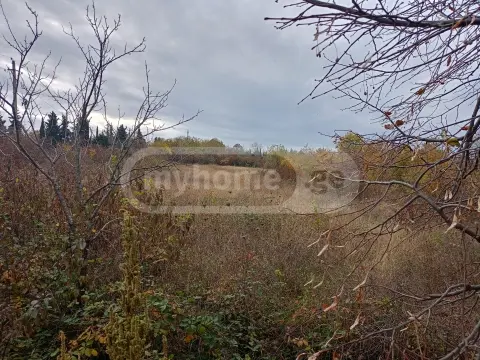 იყიდება მიწა / ნაკვეთი Gurjaanshiში view 1