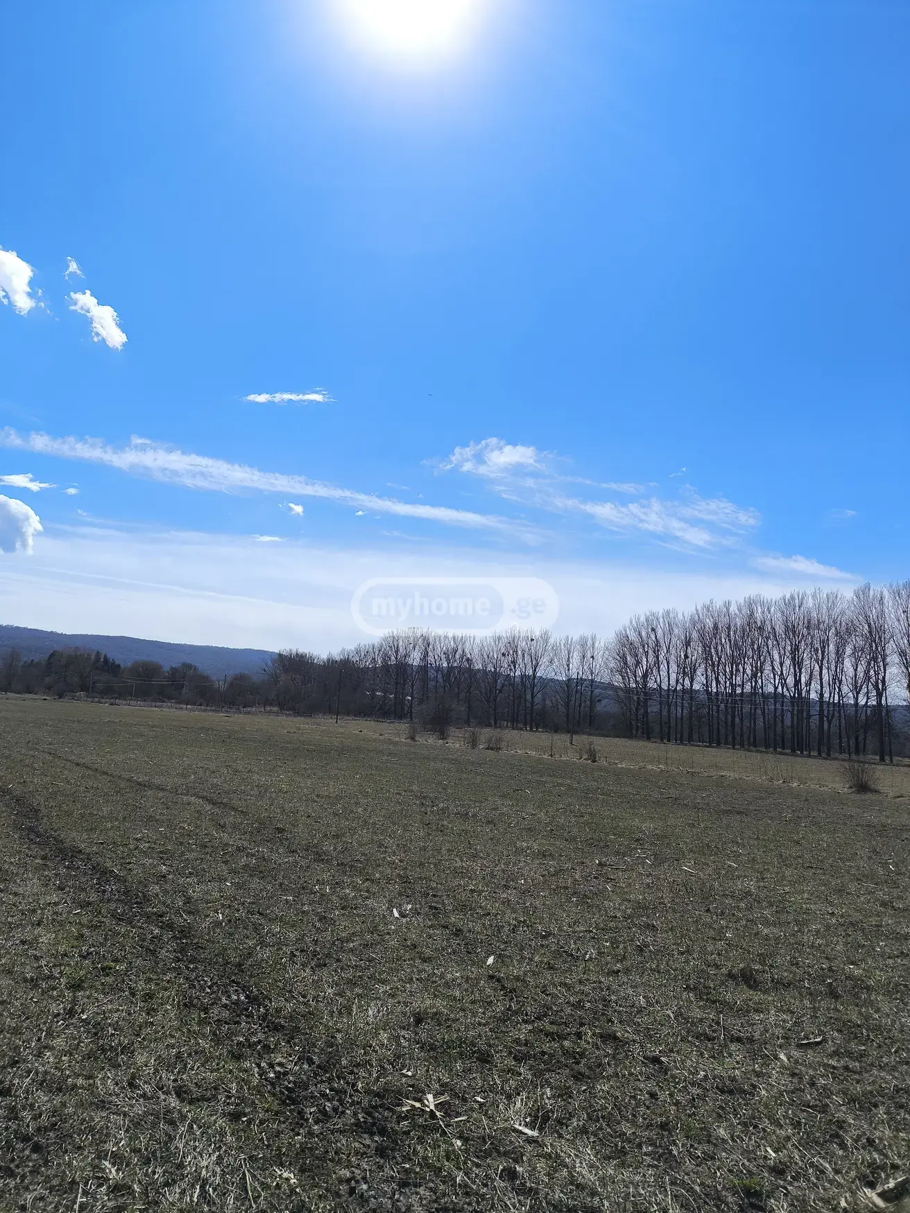 For Sale Ara Sasoplo-Sameurneo Land Plot Tianetis Munitsipalitetshi view 10