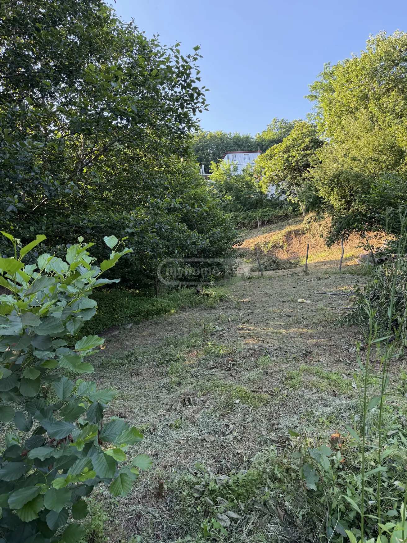 For Sale Sasoplo-Sameurneo Land Plot In Batumi view 8