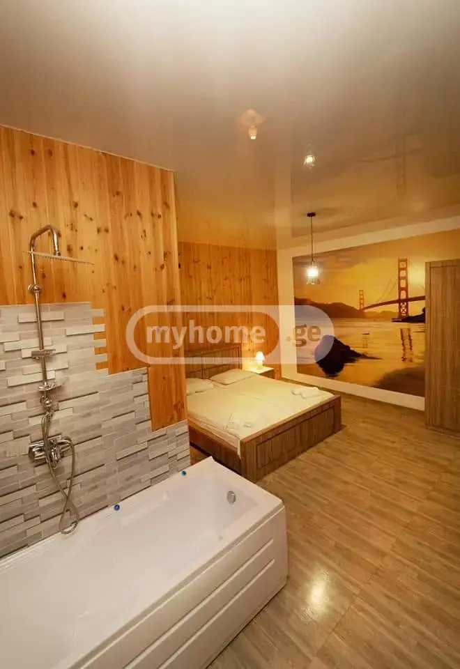 For Rent 10+ Room Private House Dushetis Munitsipalitetshi view 2