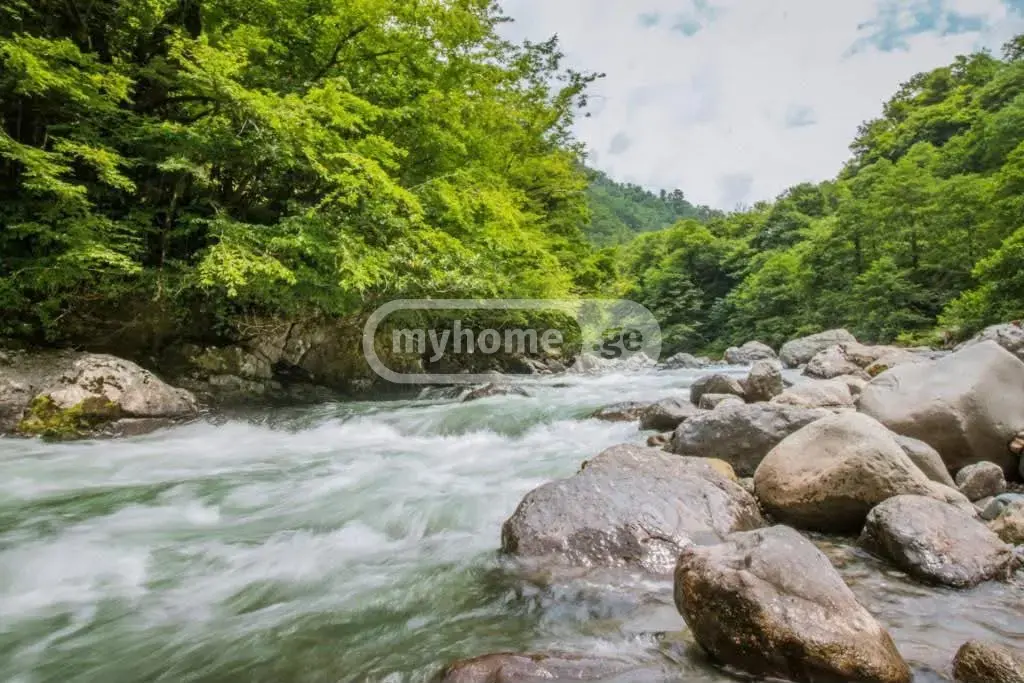Daily Rent 2 Room Private House Khelvachauris Munitsipalitetshi view 11