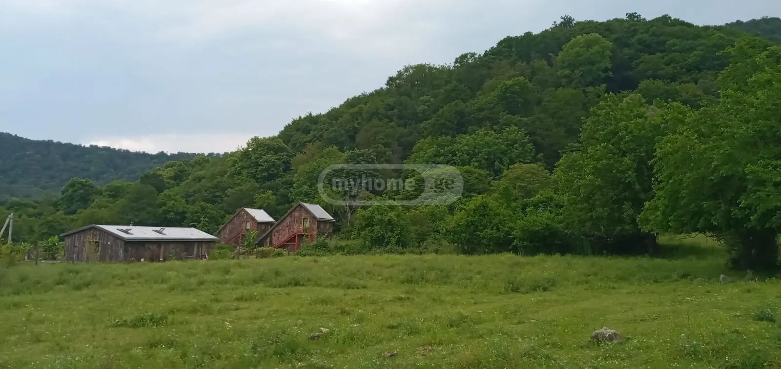 For Sale Sasoplo-Sameurneo Land Plot Lagodekhshi view 2