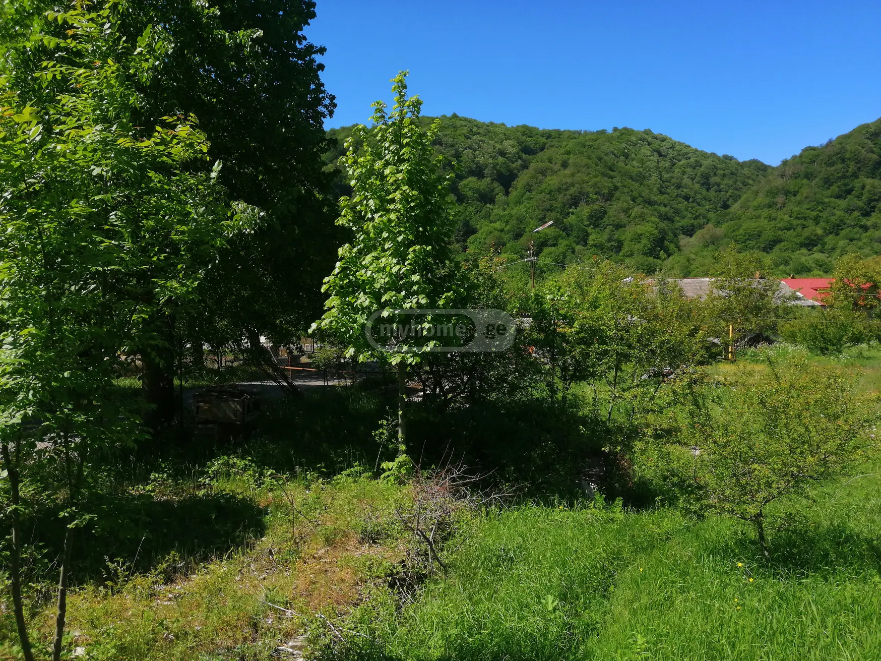 იყიდება მიწა / ნაკვეთი Tianetis Munitsipalitetshiში view 2