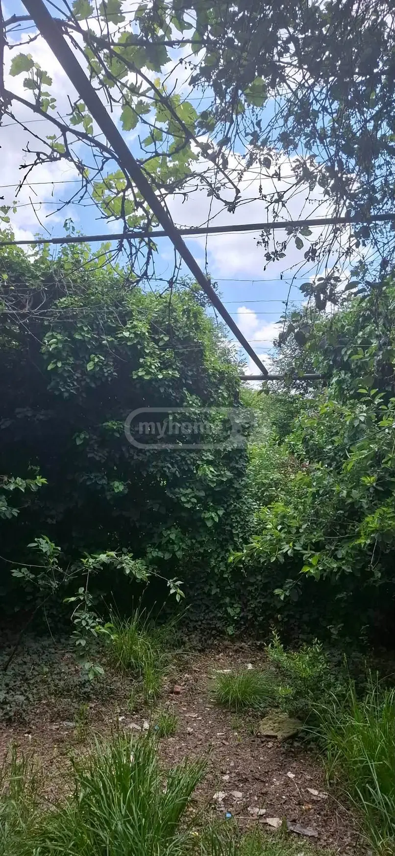 Продажа 5-комната Частный дом в Sagarejos Munitsipalitetshi view 5