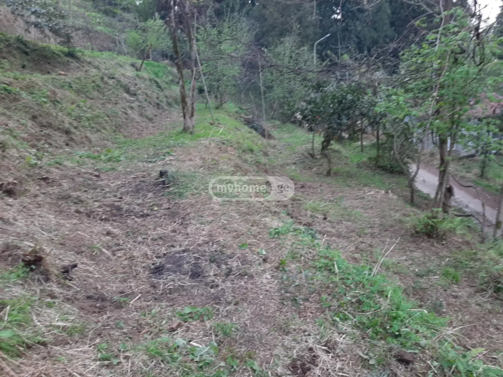 For Sale Sasoplo-Sameurneo Land Plot In Batumi view 2