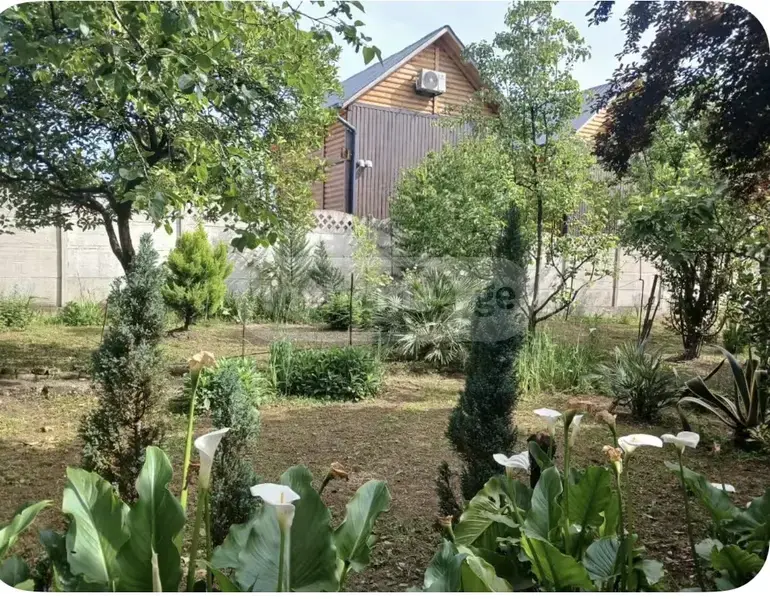 Daily Rent 8 Room Private House view 15