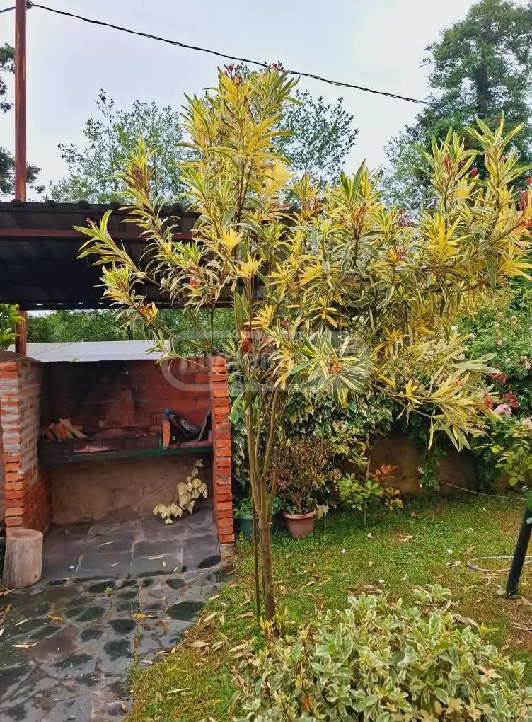 Daily Rent 5 Room Private House Ozurgetis Munitsipalitetshi view 14