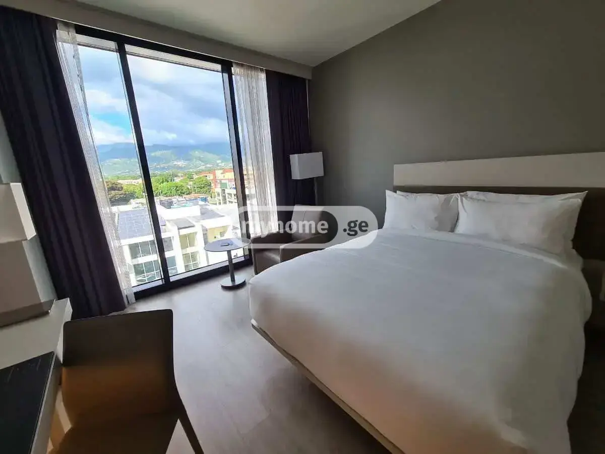 For Rent 10+ Room Sastumro Nadzaladevshi view 32