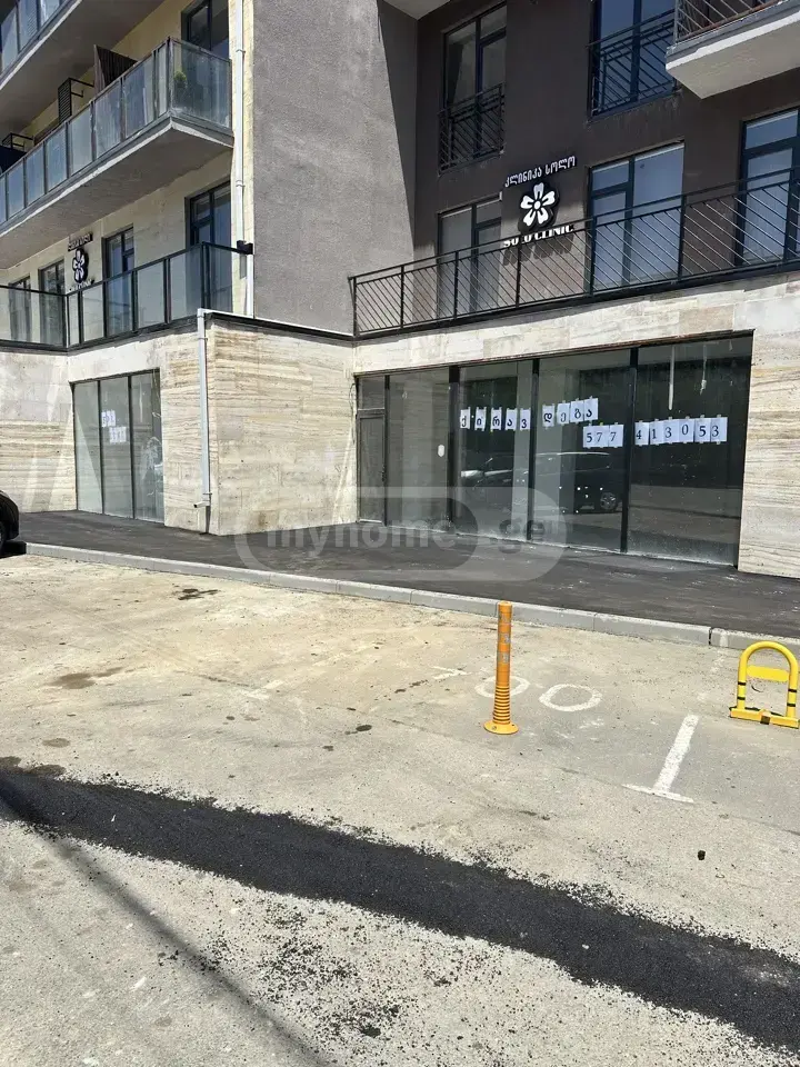 For Rent Savachro Commercial Space Tsqnetshi view 2
