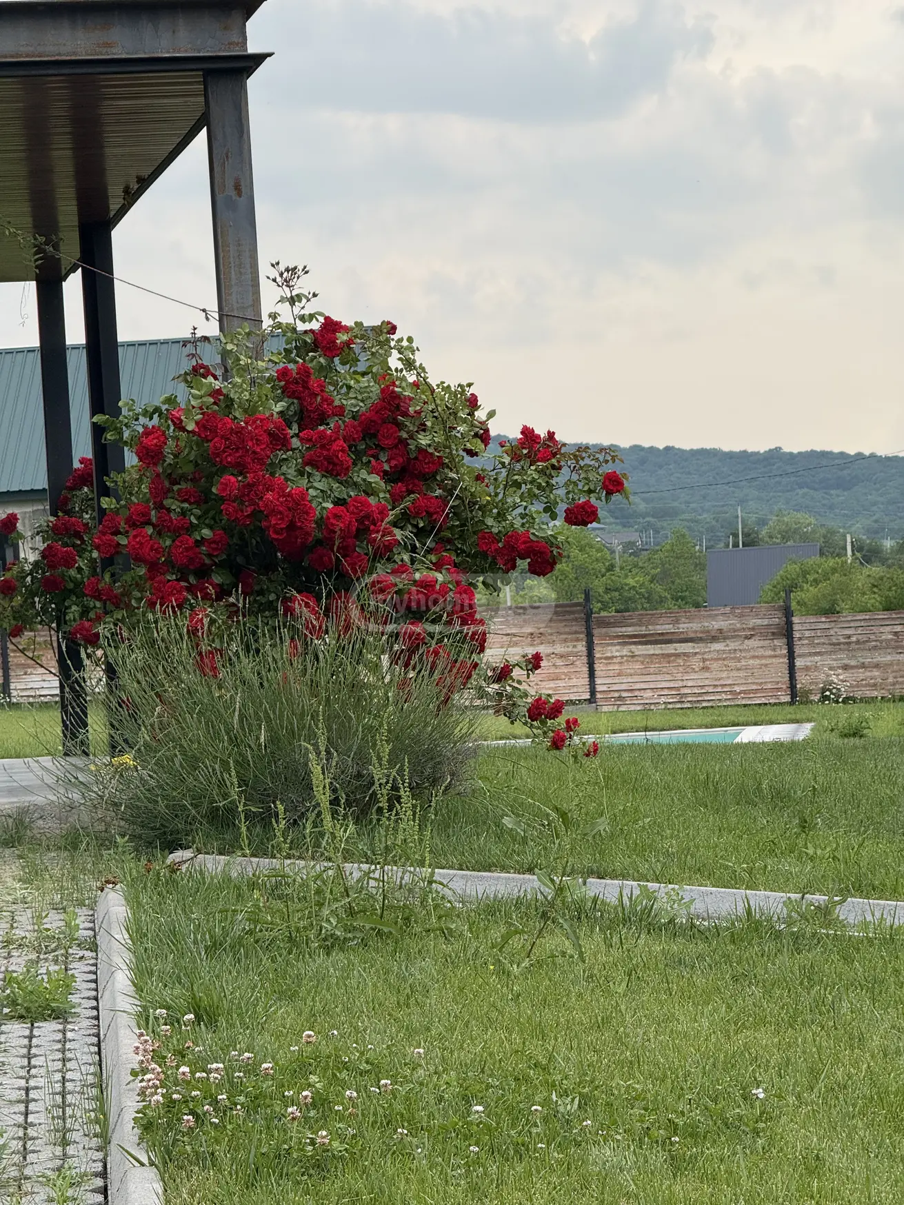 Продажа 5-комната Загородный дом в Dushetis Munitsipalitetshi view 10