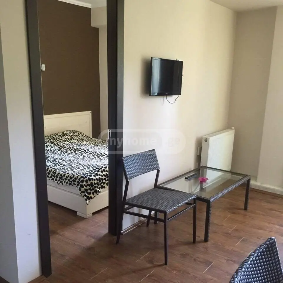 Daily Rent 2 Room Sastumro Bakurianshi, 8 of 9