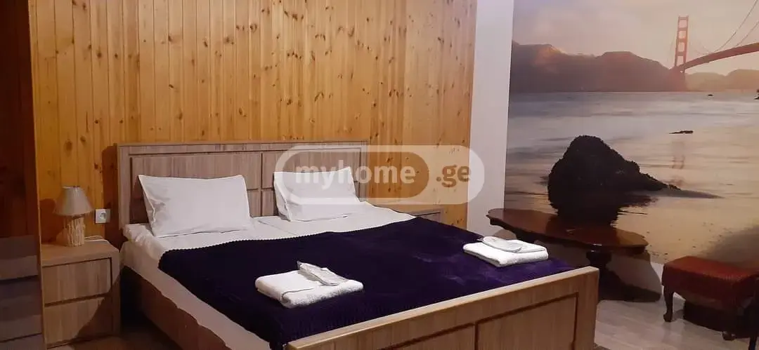 For Rent 10+ Room Private House Dushetis Munitsipalitetshi view 7