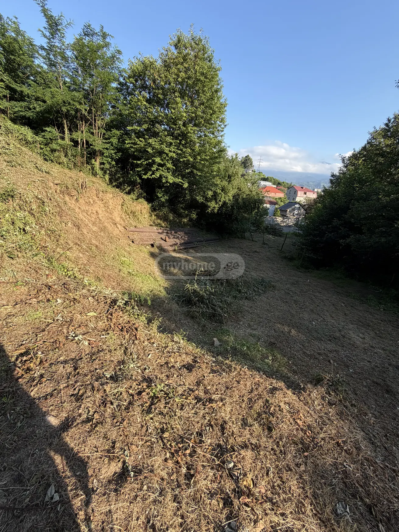 For Sale Sasoplo-Sameurneo Land Plot In Batumi view 4