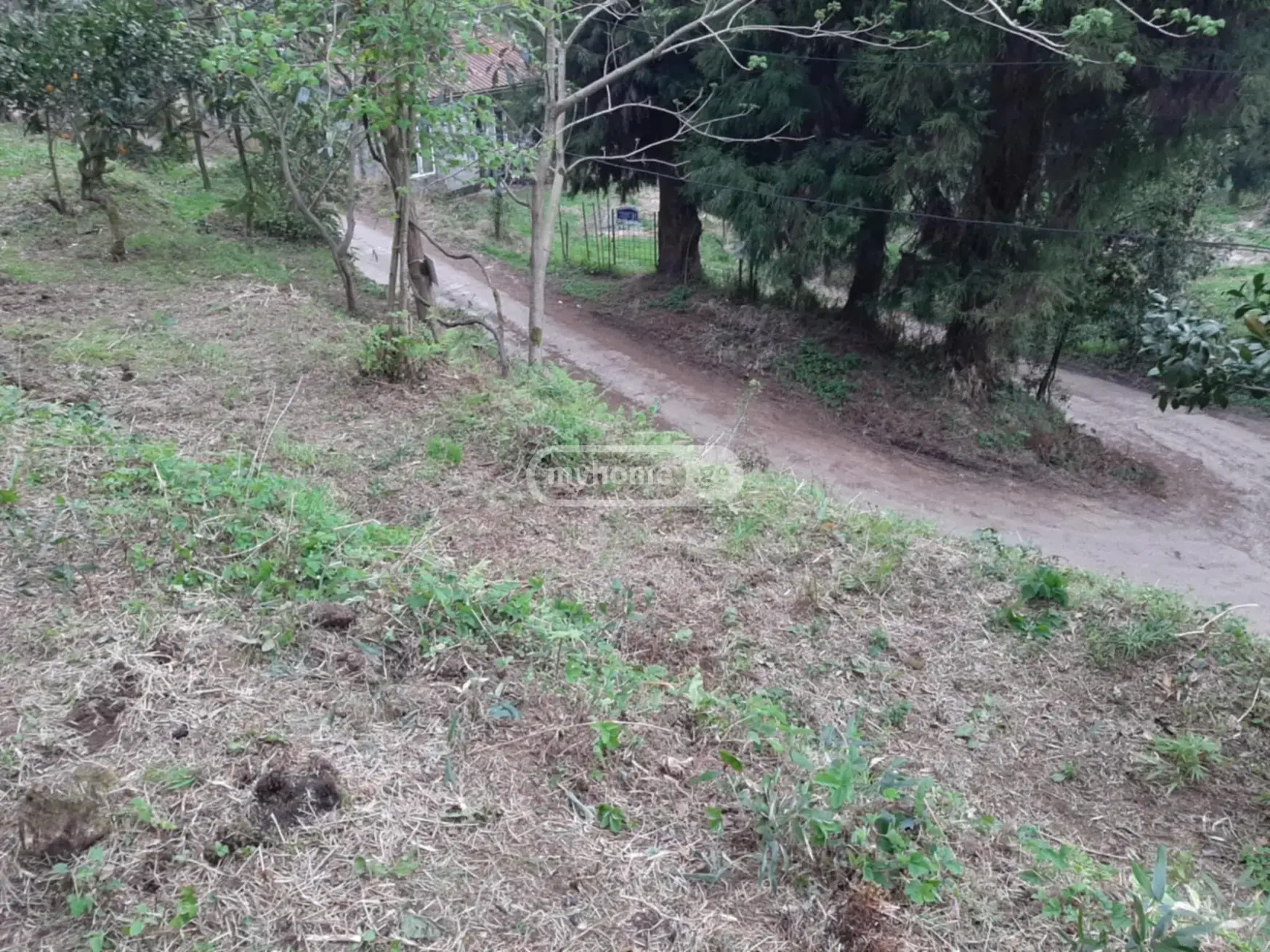 For Sale Sasoplo-Sameurneo Land Plot In Batumi view 6