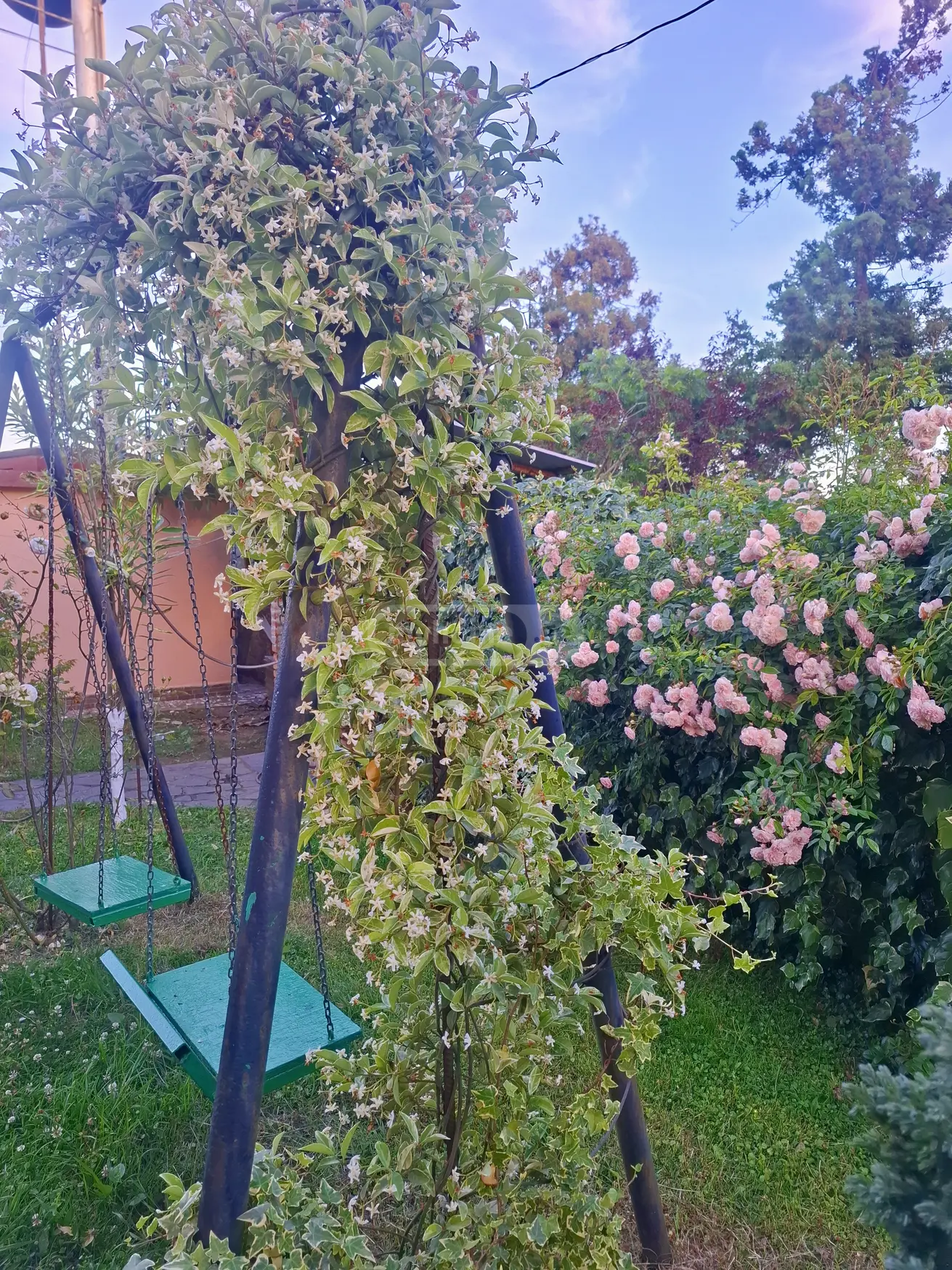 Daily Rent 5 Room Private House Ozurgetis Munitsipalitetshi view 13