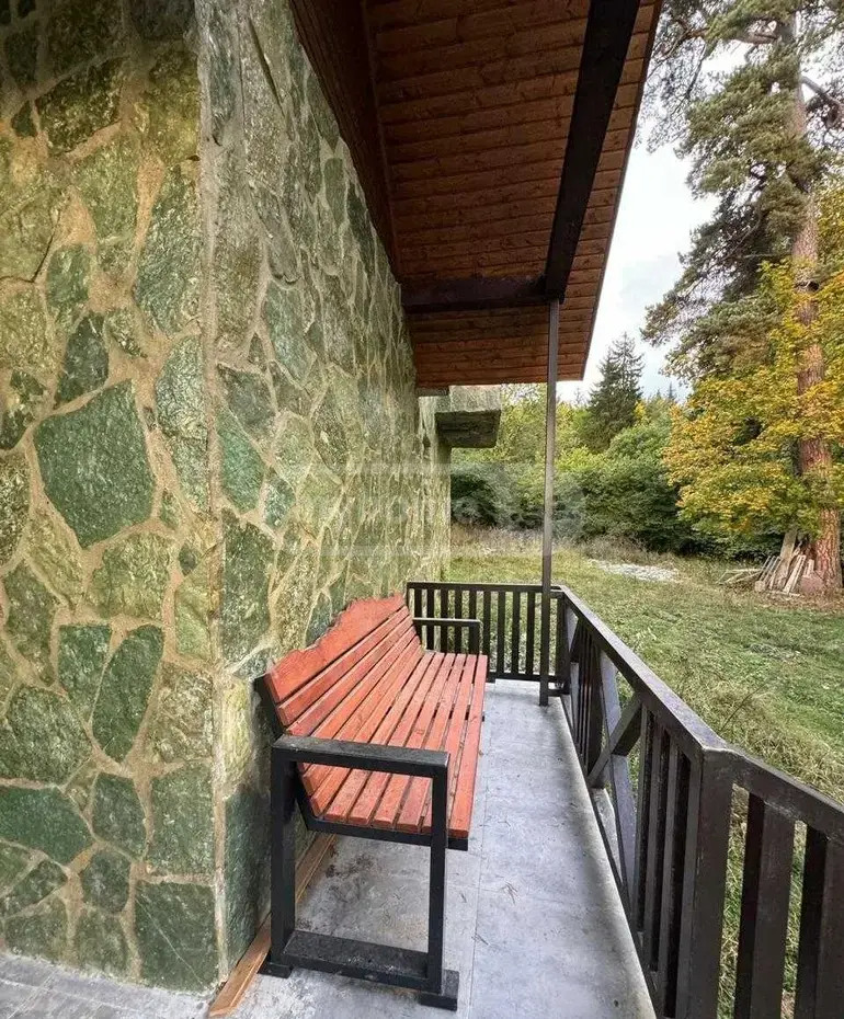 For Sale 3 Room Country House Borjomshi view 16