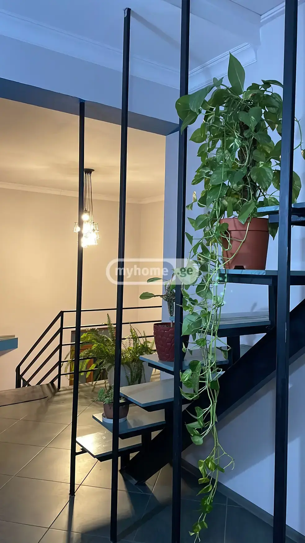 For Rent 9 Room Private House view 12