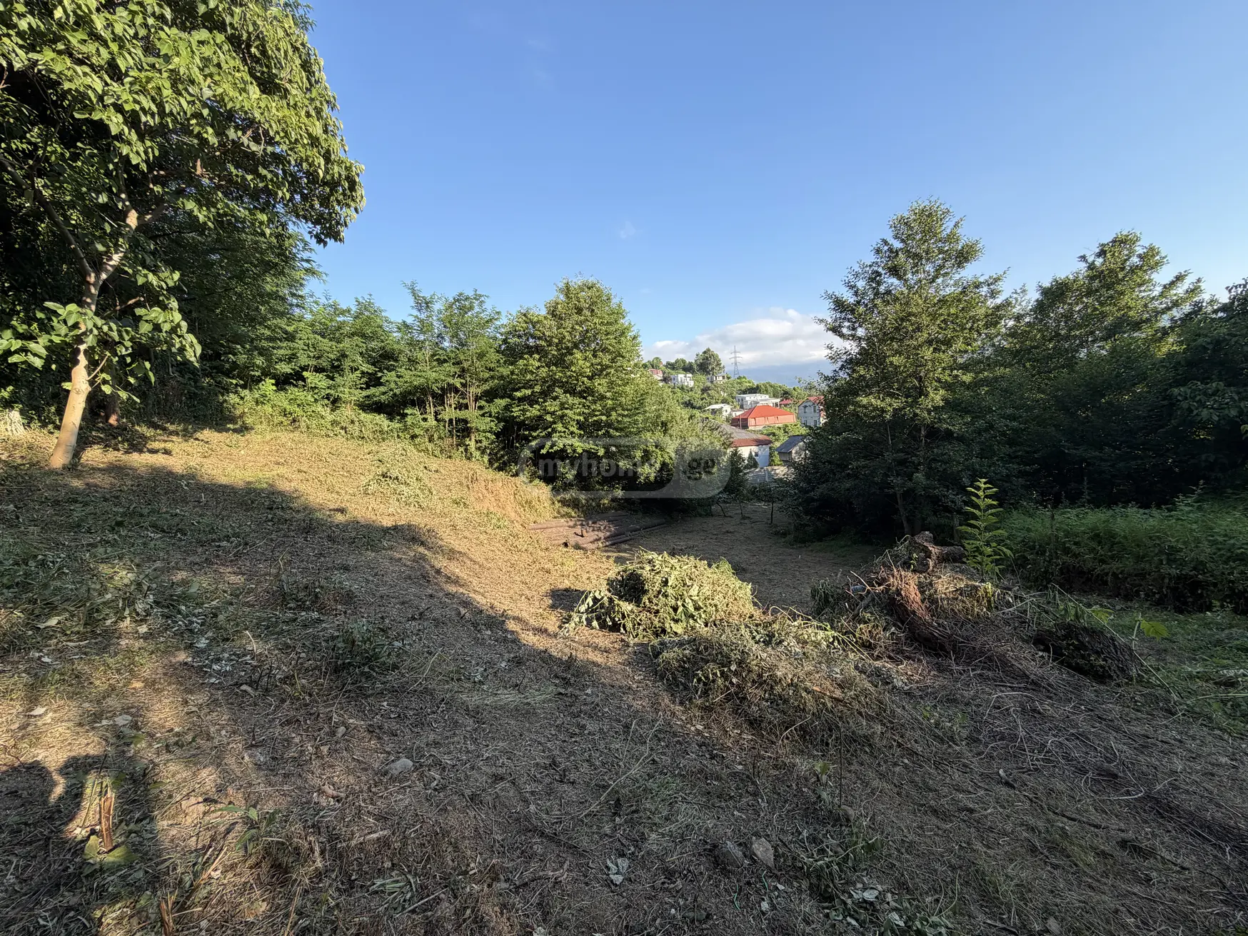 For Sale Sasoplo-Sameurneo Land Plot In Batumi view 5