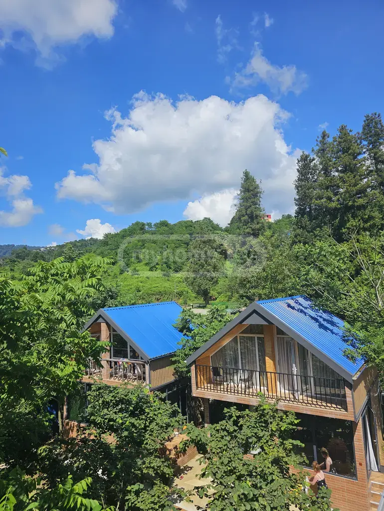 Daily Rent 10+ Room Country House Khelvachauris Munitsipalitetshi view 13