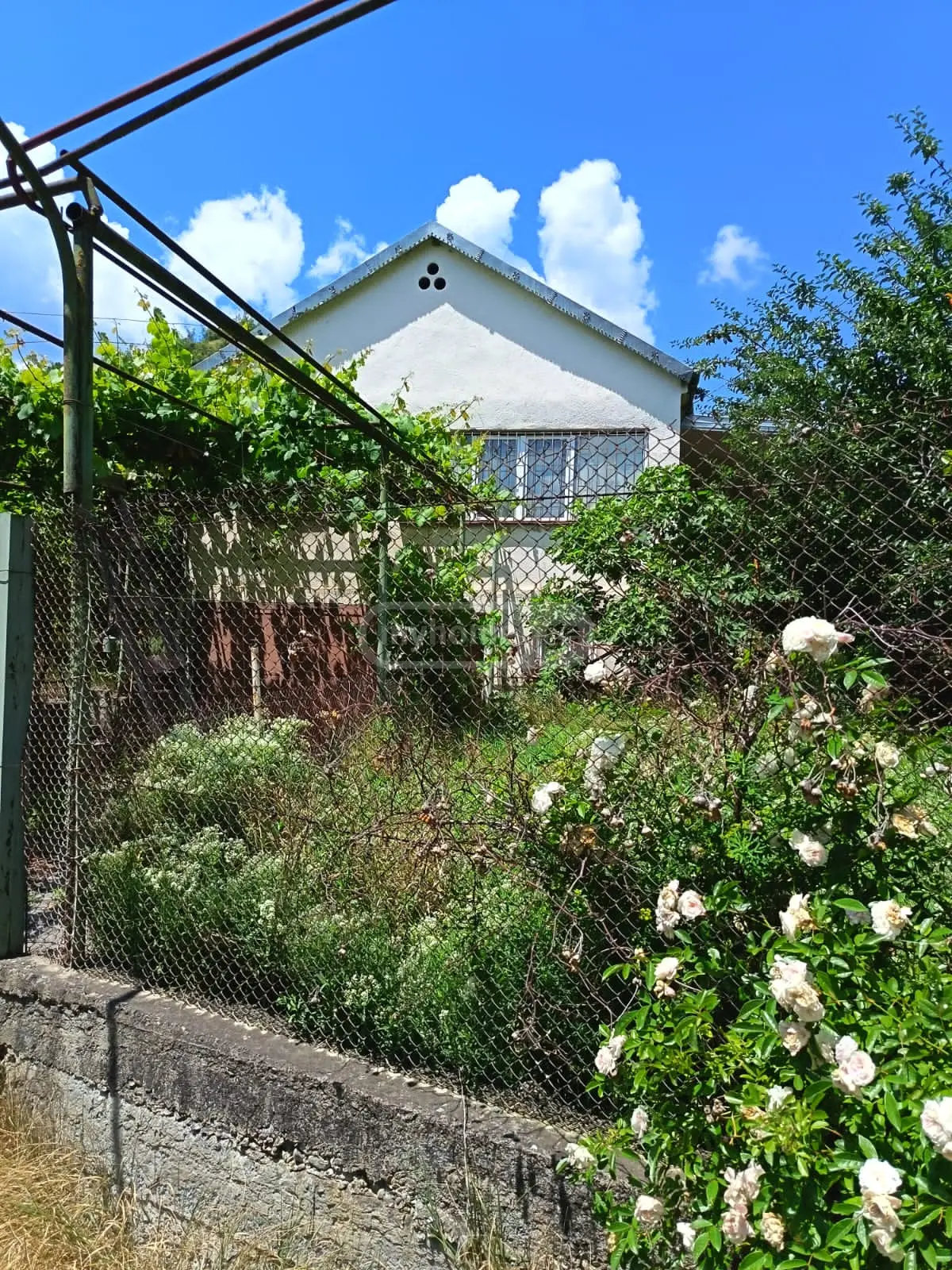For Sale 3 Room Country House Mtskhetis Munitsipalitetshi view 3
