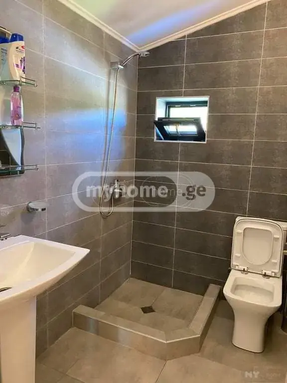 For Rent 5 Room Country House Bakurianshi, 11 of 12