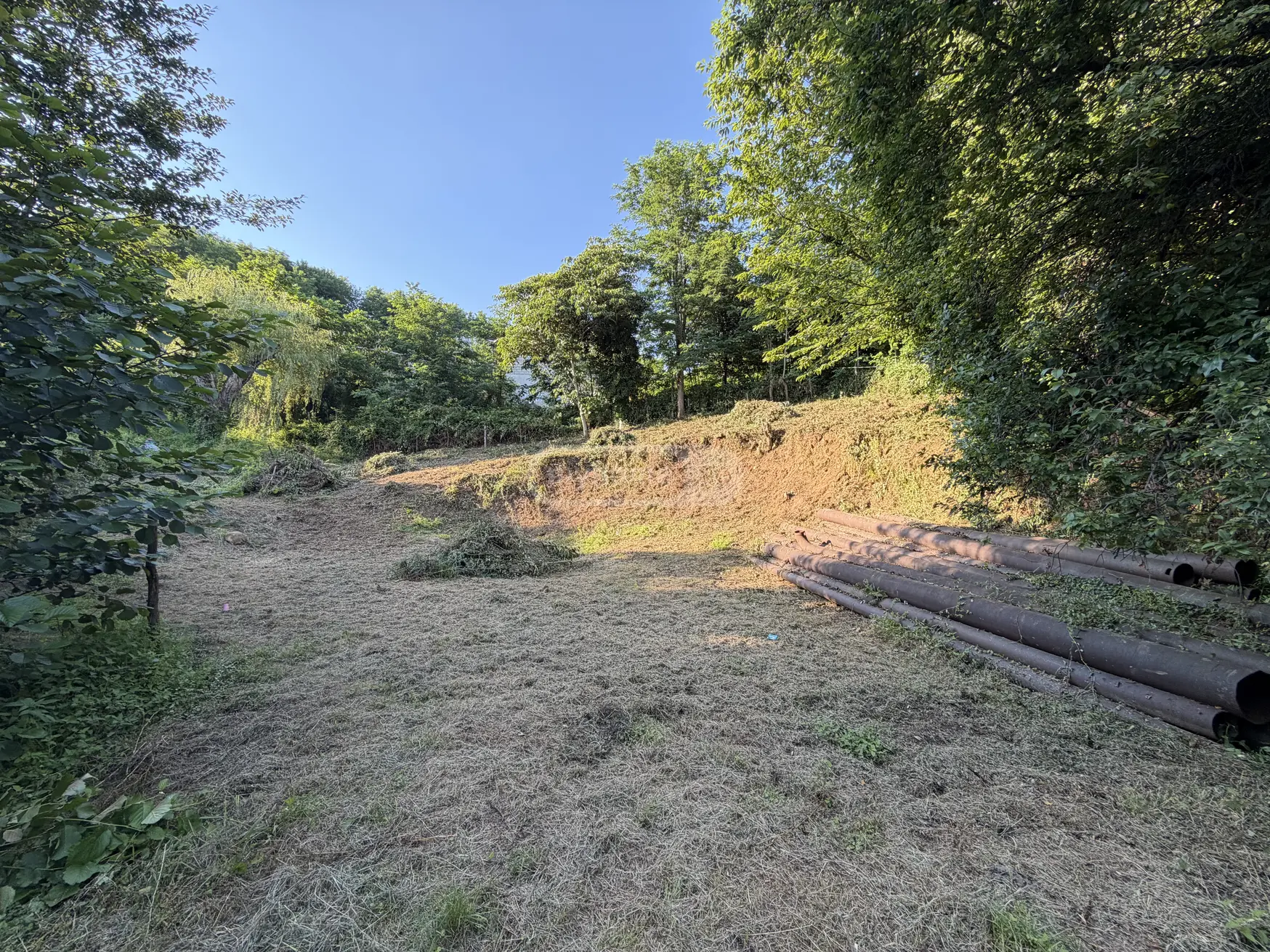 For Sale Sasoplo-Sameurneo Land Plot In Batumi view 9