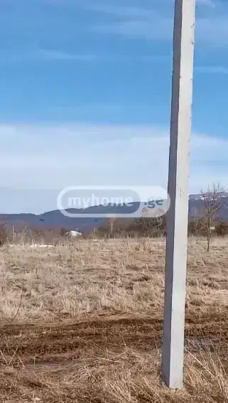 For Sale Sainvestitsio Land Plot Tianetis Munitsipalitetshi view 1