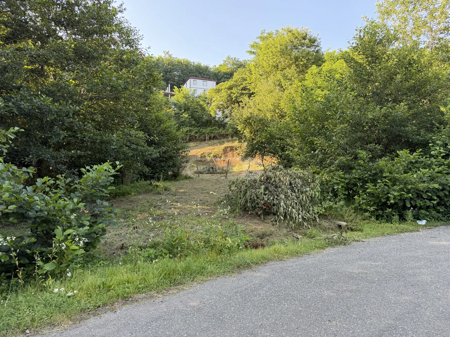 For Sale Sasoplo-Sameurneo Land Plot In Batumi view 7