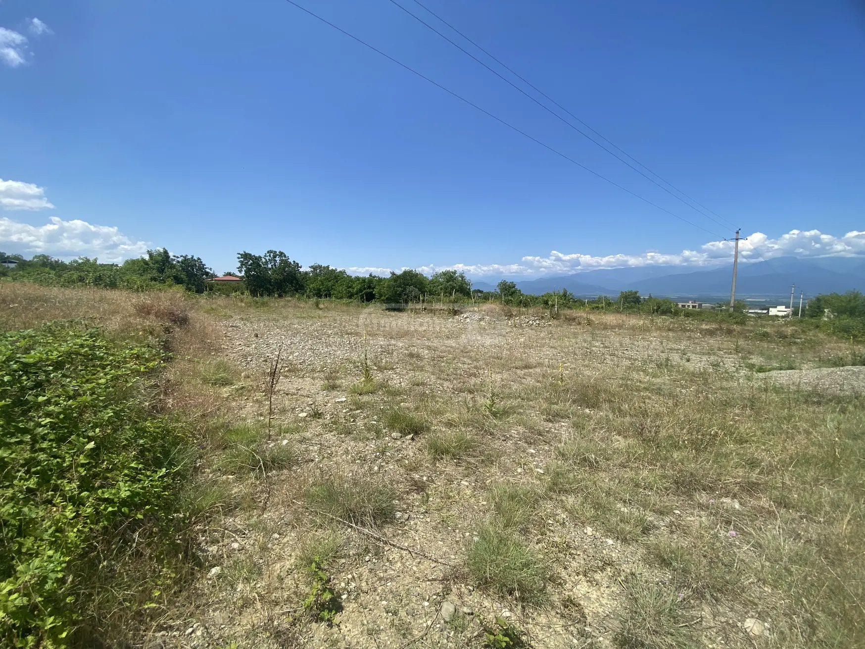For Sale Sasoplo-Sameurneo Land Plot Telavis Munitsipalitetshi view 1