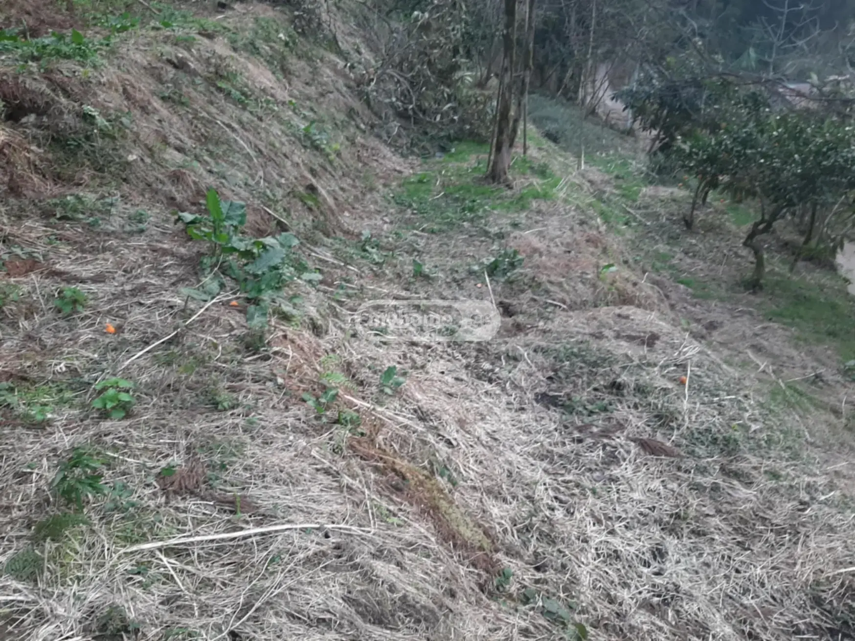 For Sale Sasoplo-Sameurneo Land Plot In Batumi view 3
