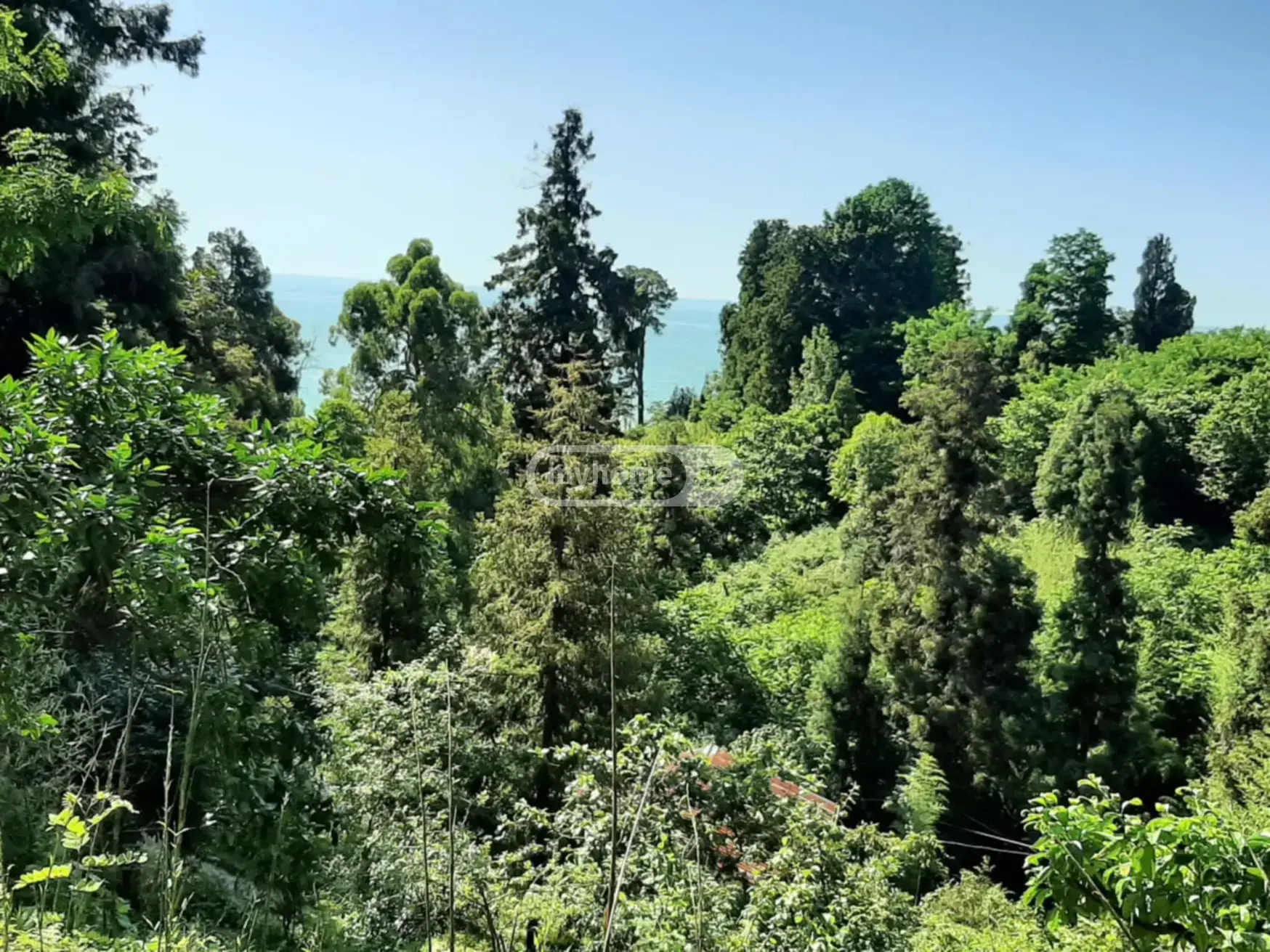 For Sale Sasoplo-Sameurneo Land Plot In Batumi view 9