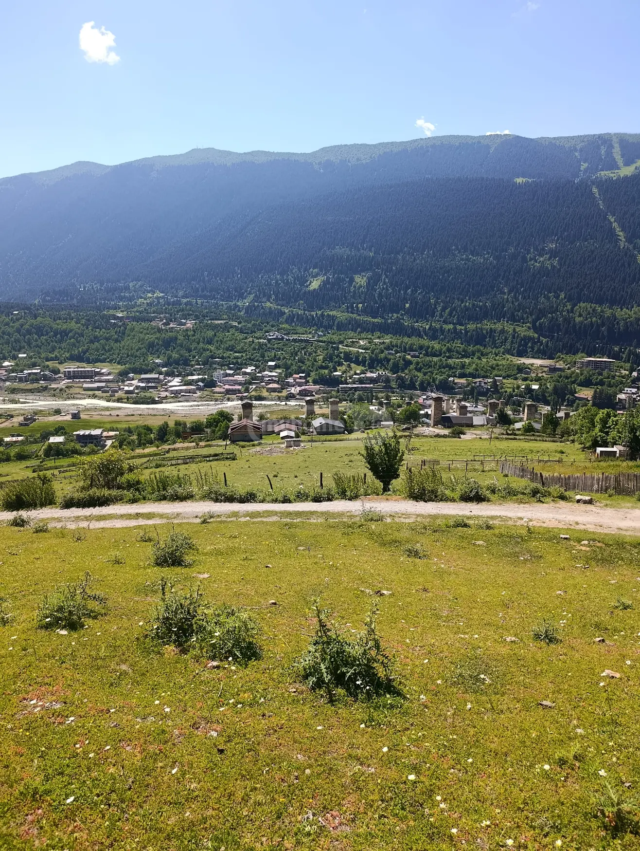იყიდება მიწა / ნაკვეთი Mestiashiში view 9