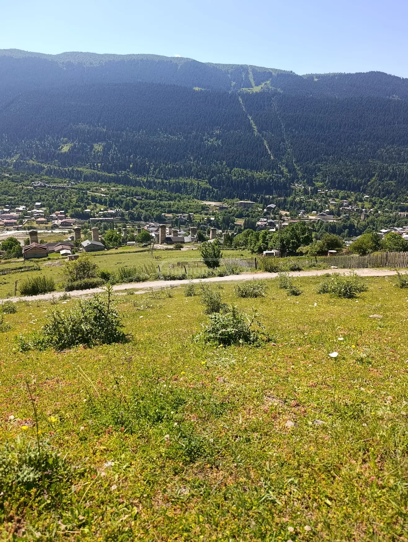 იყიდება მიწა / ნაკვეთი Mestiashiში view 1