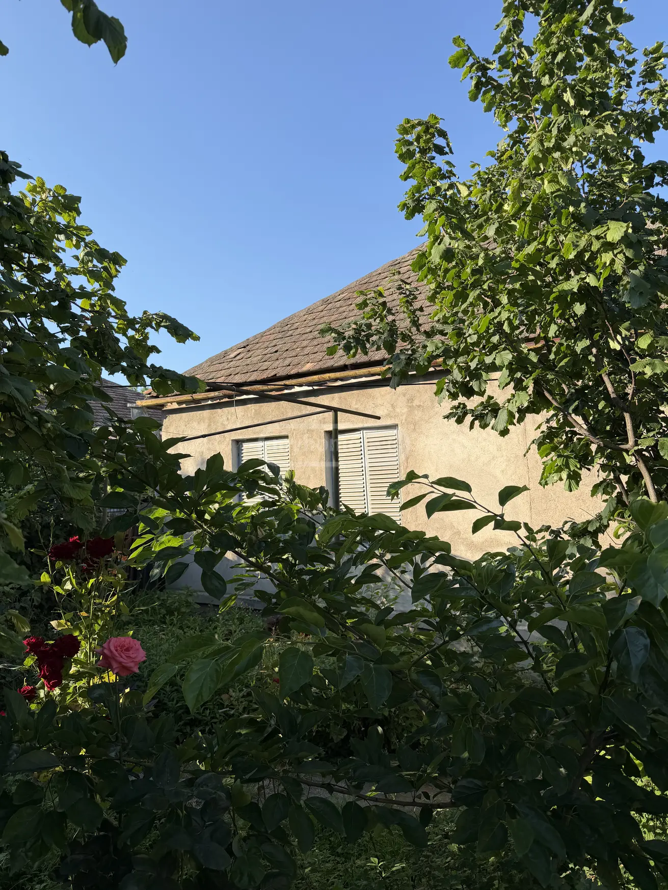 For Sale 6 Room Private House Tetritsqaros Raionshi view 1