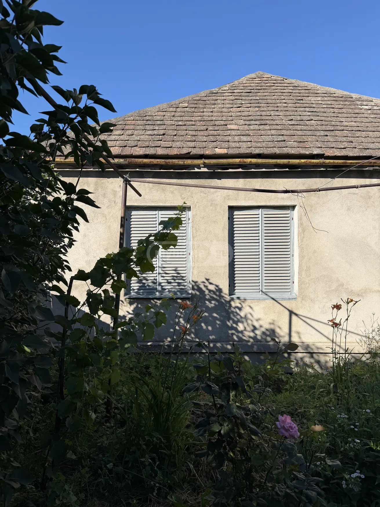For Sale 6 Room Private House Tetritsqaros Raionshi view 8