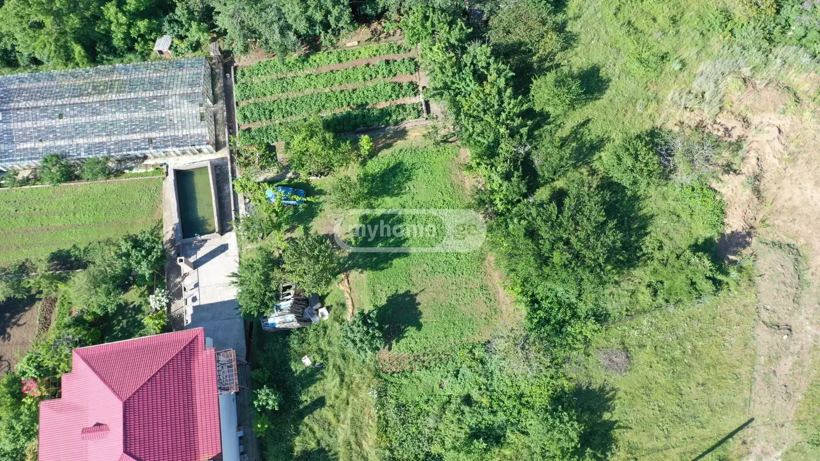 For Sale Sasoplo-Sameurneo Land Plot Sololakshi view 7