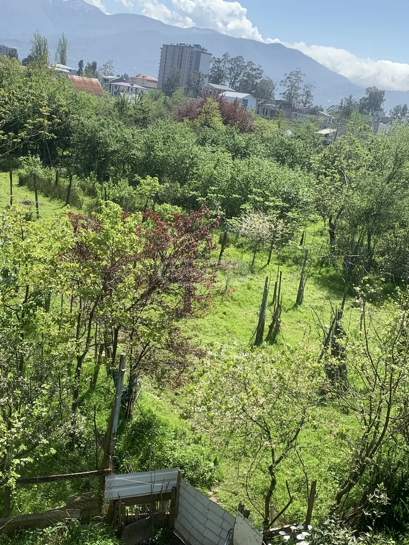 For Sale Sasoplo-Sameurneo Land Plot In Batumi view 4