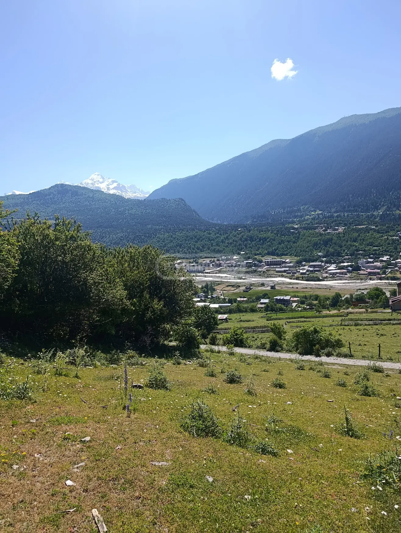 იყიდება მიწა / ნაკვეთი Mestiashiში view 7