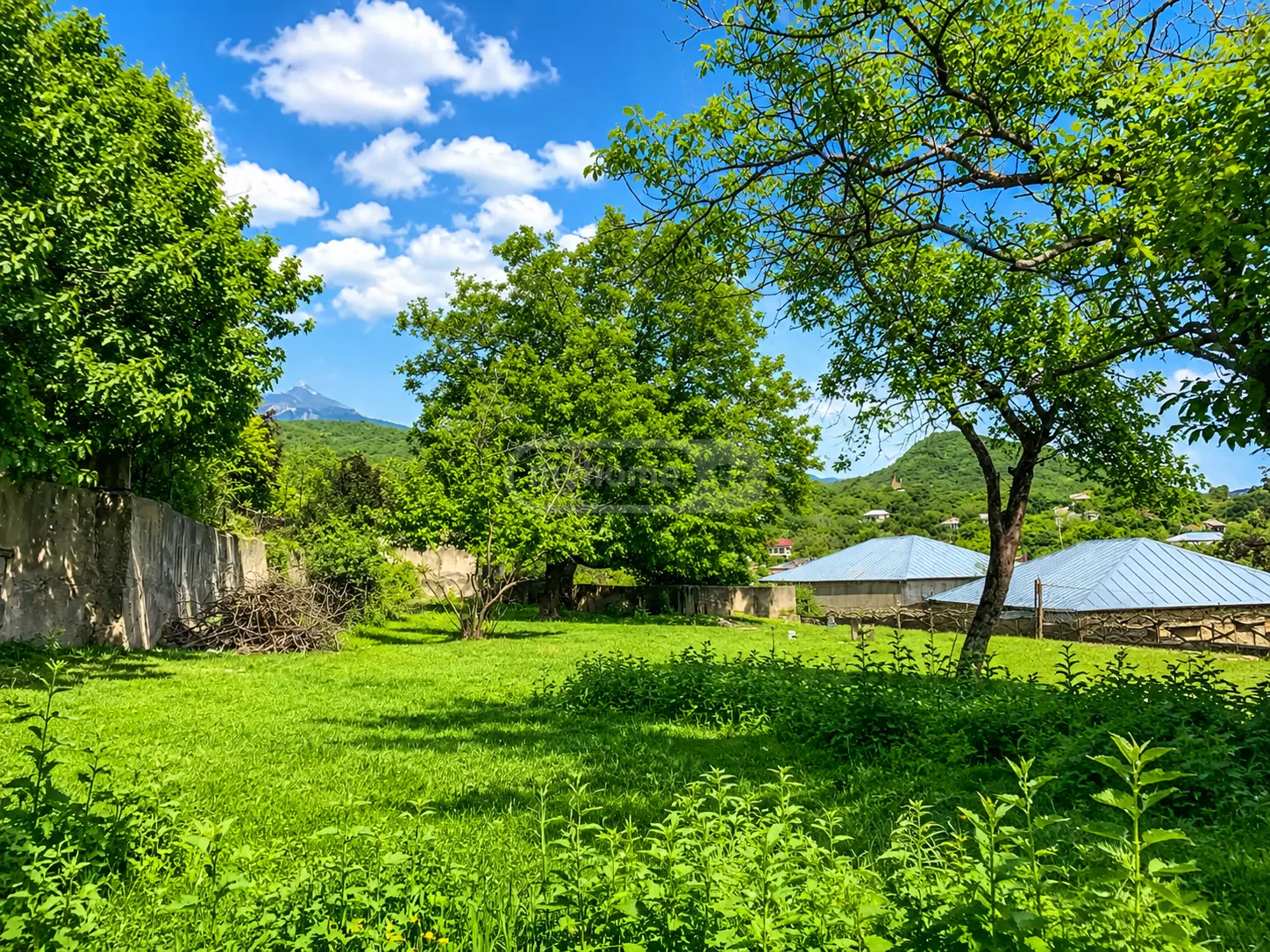 For Sale 5 Room Country House Sagarejoshi view 6