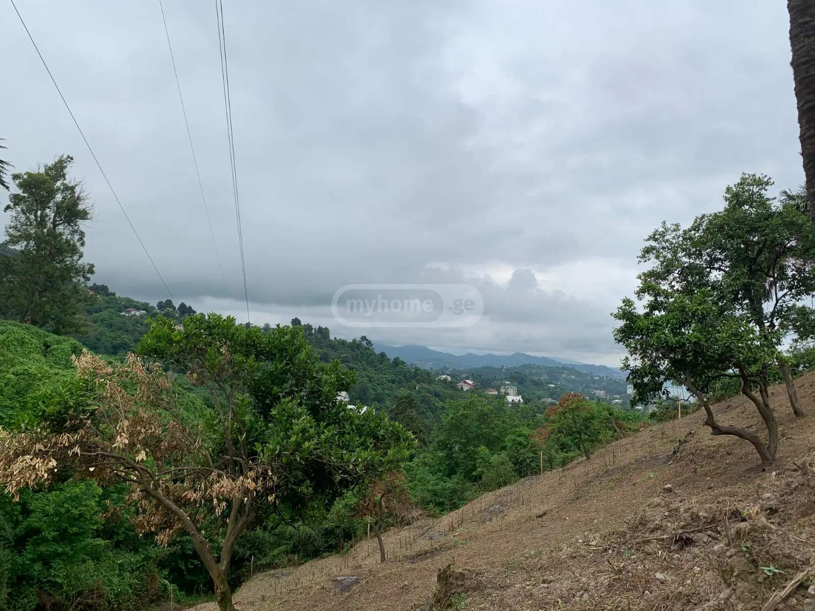 For Sale Sasoplo-Sameurneo Land Plot Khelvachauris Munitsipalitetshi view 3