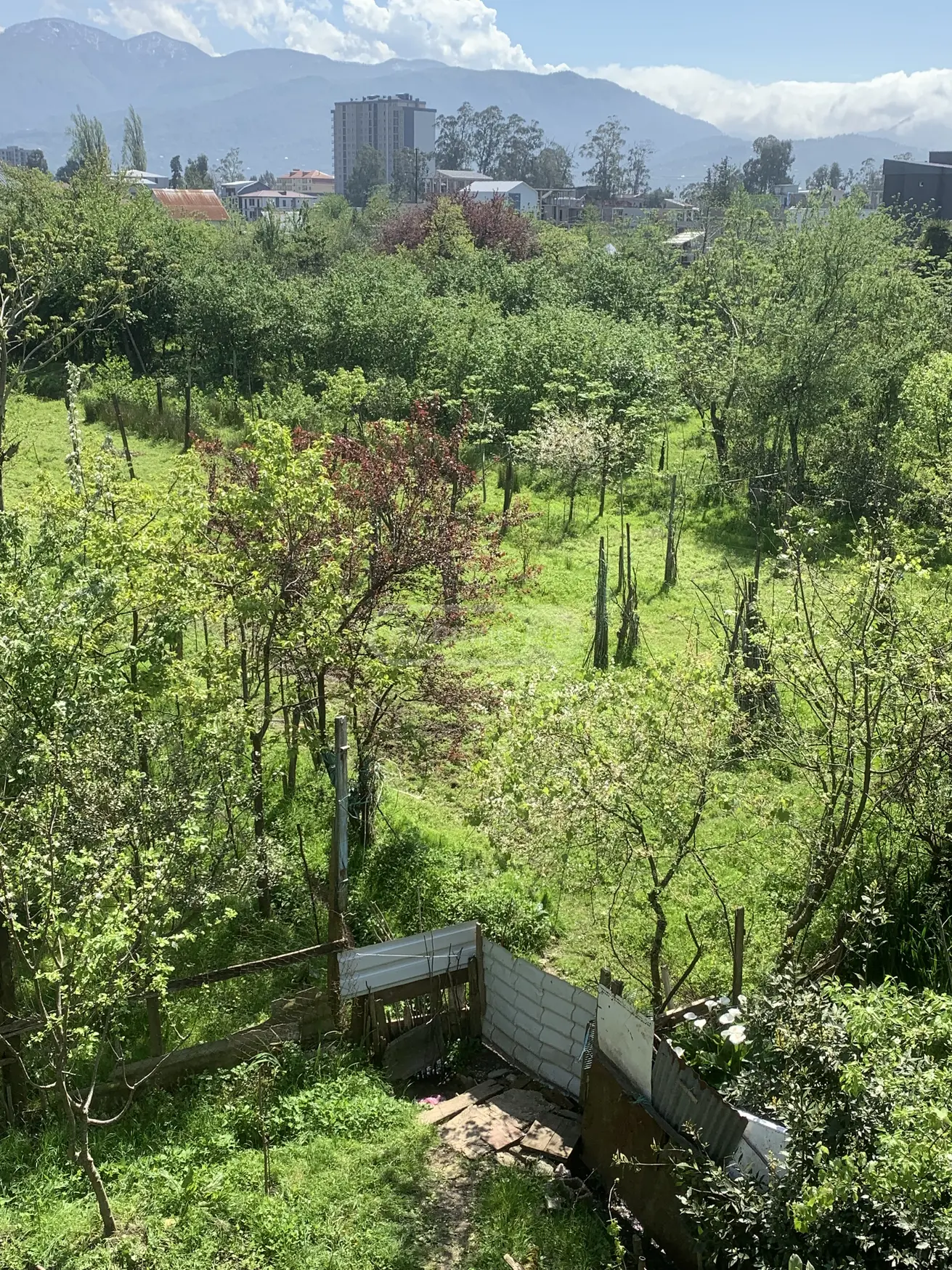 For Sale Sasoplo-Sameurneo Land Plot In Batumi view 3