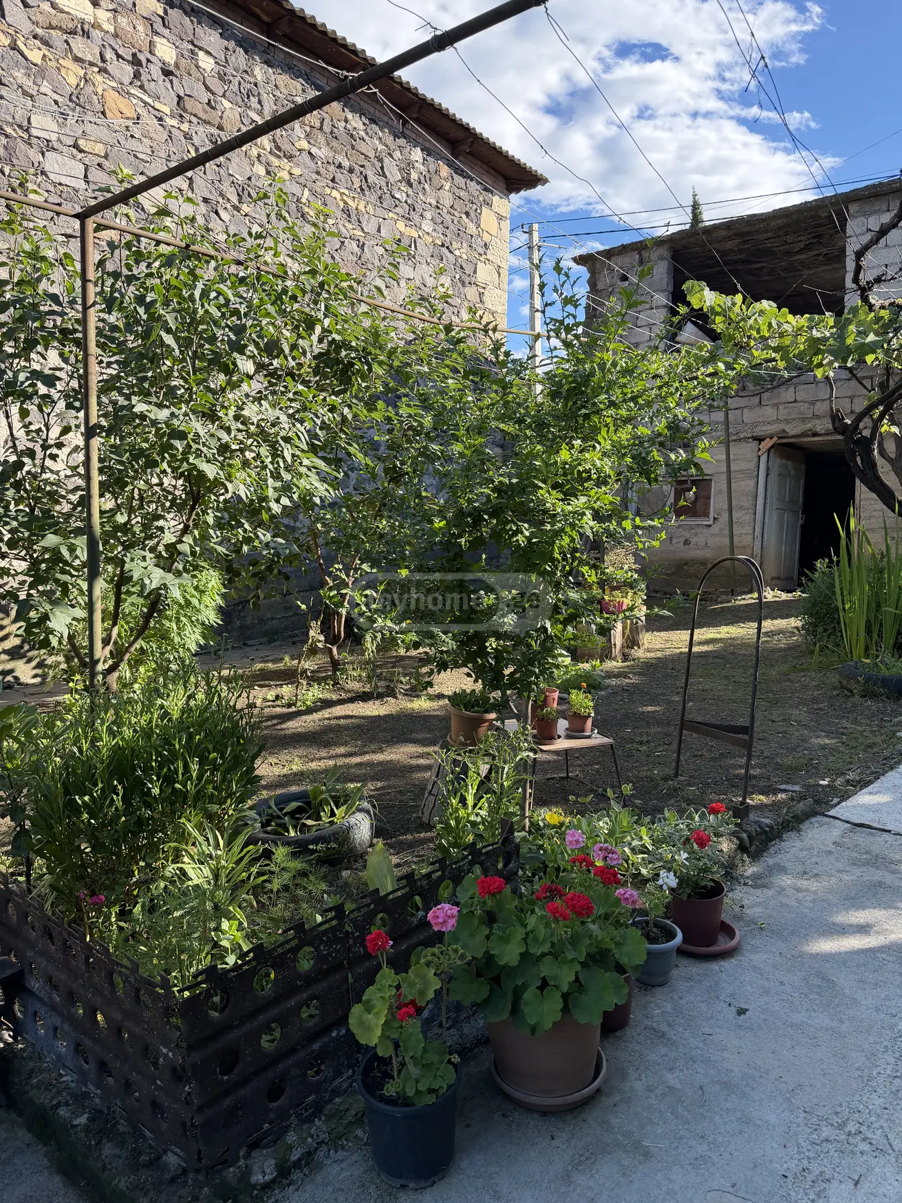 For Sale 6 Room Private House Tetritsqaros Raionshi view 9